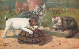 ANIMAUX TORTUE/ CHIEN / CHATS - Tortugas