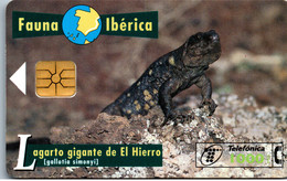 16298 - Spanien - Fauna Iberica , Lagarto Gigante De El Hierro - Otros & Sin Clasificación