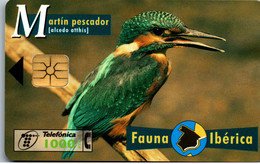16382 - Spanien - Fauna Iberica , Martin Pescador - Altri & Non Classificati