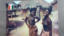 CPSM JEUNES FILLES FEMMES NOIRES SEINS NUS JOIE DE VIVRE EN PAYS SENOUFO COTE D IVOIRE ED HACHETTE 1978 - Côte-d'Ivoire