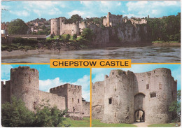 Chepstow Castle, Monmouthshire, Wales. Multiview - Monmouthshire