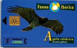 16569 - Spanien - Fauna Iberica , Aguila Culebrera - Altri & Non Classificati