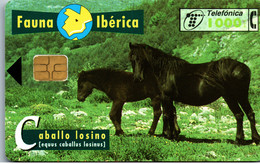 16608 - Spanien - Fauna Iberica , Caballo Iosino - Andere & Zonder Classificatie