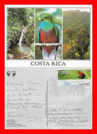 CPSM/gf MONTEVERDE (Costa Rica)  Forêt Tropicale Humide. Multivues...O627 - Costa Rica