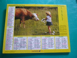 Calendrier 1993 Cartier Bresson Fillette Lapin Vache Almanach Facteur PTT POSTE Département Sarthe - Formato Grande : 1991-00