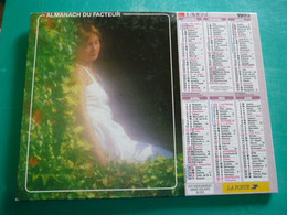 Calendrier 1993 Lavigne Femme Romantique Erotique Almanach Facteur PTT POSTE Département Sarthe - Grand Format : 1991-00