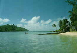 Seychelles - Cerf Island - Seychelles