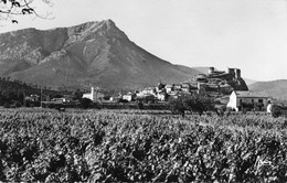 83 / CPSM / LA GARDE /  LA VIEILLE GARDE ET LE MONT COUDON VUS DU PRADET - La Garde