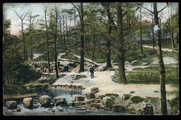 Sheffield Endcliffe Woods 1906 Excelsior - Sheffield