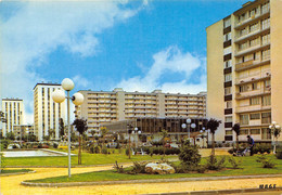 45-MONTARGIS- QUARTIER DE LA CHAUSSEE - Montargis