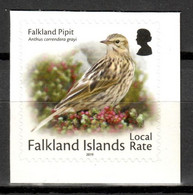 Falkland Islands 2019 / Birds (from Booklet) MNH Vögel Aves Oiseaux Uccelli / Cu19310  36-21 - Unclassified