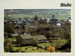 Bielle * Vue Générale Du Village - Autres & Non Classés