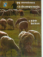 CPSM 99 Moutons+1 Champenois-Timbre      L1603 - Champagne-Ardenne