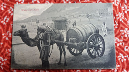 CPA YEMEN WATER CART ADEN TRANSPORT DE L EAU PAR TONNEAU ATTELAGE CHAMEAU METIER - Yémen