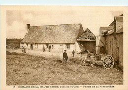 Beaumont La Ronce * Domaine De La Haute Barde * Près Tours * Ferme De La Ribaudière * Attelage - Beaumont-la-Ronce