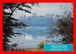 CPSM/gf PUERTO NATALES (Chili)  Magallanes. Parque Nacional Torres Del Paine...O644 - Chili