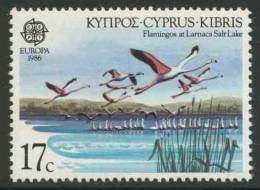 Cyprus Chypre Zypern 1986 Mi 656 YT 652 ** Phoenicopterus Ruber : American Flamingos + Larnaca Salt Lake / Salzsee - Flamingos