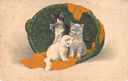 CPA Illustrée 3 Chats Dans Un Panier Vert En Osier - - Non Classés