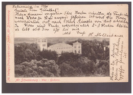 LATVIA  Alt Schwaneburg Wez Gulbene Ca 1900 - Lettland