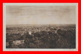 CPA GRUNSTADT (Allemagne)  Gesamtansicht. Vue Panoramique...O665 - Gruenstadt