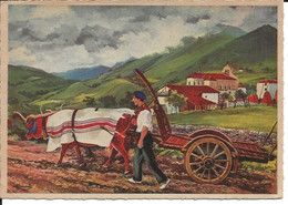 64. CPA. Pyrénées-Atlantiques. Pays Basque. Basse-Navarre. Bidarray. Départ Aux Champs (animée, Bœufs Attelés) - Bidarray