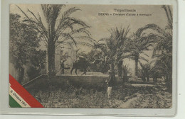 TRIPOLITANIA - DERNA - ELEVATORE D'ACQUA A MANEGGIO + FRANCOBOLLO SOVRASTAMPATO LIBIA 1913 - Libië