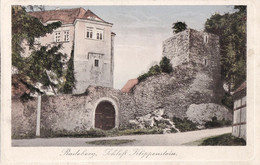 CPA - RADEBERG - SAXE (ALLEMAGNE) - CHÂTEAU KLIPPENSTEIN - Radeberg