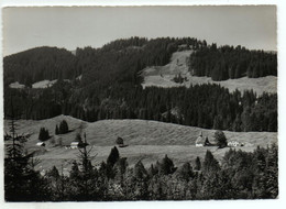 WEISSBAD Café Ahorn A. Fässler-Büchler - Weissbad 