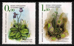 Bosnia Serbia 2022 Flora Flowers Carnivorous Plants Masnica Pinguicula Hirtiflora Ten. Drosera Rotundifolia L. Set MNH - Andere