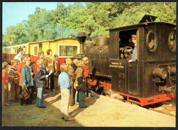 F8014 - TOP Cottbus Pioniereisenbahn Eisenbahn Dampflok Pioniere - Bild Und Heimat Reichenbach - Cottbus