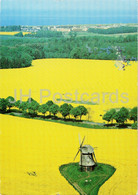 Farve Bei Oldenburg - Alte Windmuhle - Windmill - Germany - Unused - Oldenburg (Holstein)