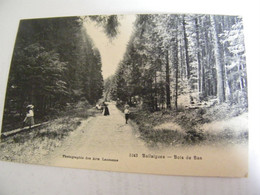 CPA - Suisse - Ballaigues - Bois De Ban - 1907 - SUP - (GK 71) - Ballaigues