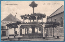 CPA MACON-lez -Chimay Arbre Célèbre Du XVe Siècle - Momignies