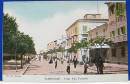 (V) VIAREGGIO - ANIMATA - VIALE UGO FOSCOLO  - NON VIAGGIATA 1900ca - Viareggio