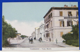 (V) VIAREGGIO - ANIMATA - VIALE MANIN  - NON VIAGGIATA 1900ca - Viareggio