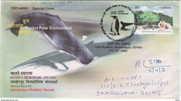 "Protect Polar Environment"-Spl. Cover And Postmark-Regd. Mail, Whale, Penguin, India, 2003, Condition As Per Scan - Other & Unclassified