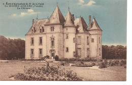 85 - La Mothe-Achard - Le Château - Dos Divisé - La Mothe Achard