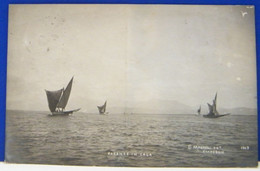 (V) VIAREGGIO - ANIMATA - FOTOGRAFICA - PARANZE IN CALA - BARCHE - VIAGGIATA  1909 - Viareggio
