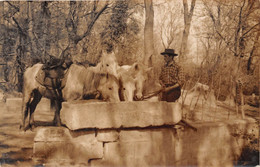 13-GARDIANS- FAISANT BOIRE SES CHEVAUX - Arles