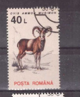 Rumänien Michel Nr. 4906 Gestempelt - Gebruikt