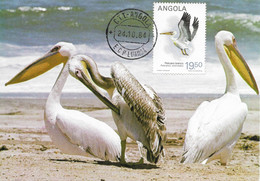 CARTE MAXIMUM - MAXICARD - CARTOLINA MAXIMA - MAXIMUM CARD - ANGOLA - 1984 - PÉLICANS BLANCS - Pelecanus Onocrotalus - Pélicans