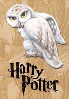 Lot De 2 Cartes Postales Hibou - Harry Potter - - Pájaros