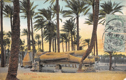 CPA EGYPTE MEMPHIS STATUE DE RAMSES II - Sonstige & Ohne Zuordnung