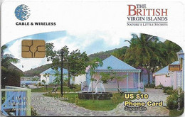 British Virgin Islands - C&W (Chip) - Nature's Little Secrets, Gem5 Black, 2002, 10$, Used - Virgin Islands