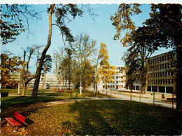 Tours * La Cité Scolaire De Grand Mont * Vue Sur Les Bâtiments * école - Tours