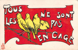 CPA Tous Les Oiseaux Ne Sont Pas En Cage - G P Paris - Canaris Sur Fond Rouge - Humour