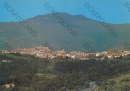 CARTOLINA  AGNONE M.850,ISERNIA,MOLISE,PANORAMA CON VISTA DEL MONTE CAPRARO,BELLA ITALIA,MEMORIA,NON VIAGGIATA - Isernia