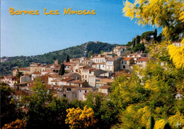 BORMES-LES-MIMOSAS    ( VAR )   LE VILLAGE - Bormes-les-Mimosas