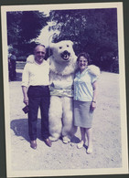 Photo Originale 12,5 X  9 Cm 1953 - Titisee - Ours Blanc Polaire - Eisbär - Polar Bear - Déguisement / Mascotte - Persone Anonimi