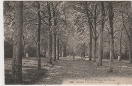 DEPT 01 : édit. Charnaux Frères N° 5628 : Parc Du Château De Ferney - Ferney-Voltaire